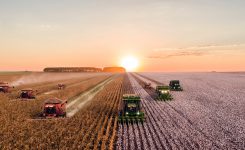 Empresas do agronegócio se unem em campanha para uso do tratamento industrial de sementes